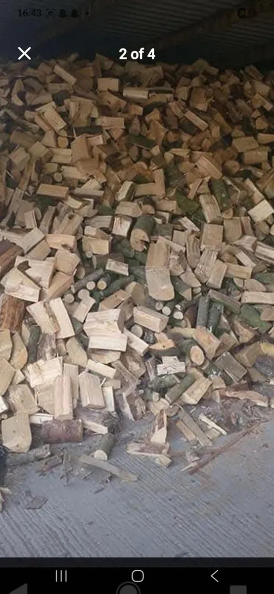 Logs - Image 2
