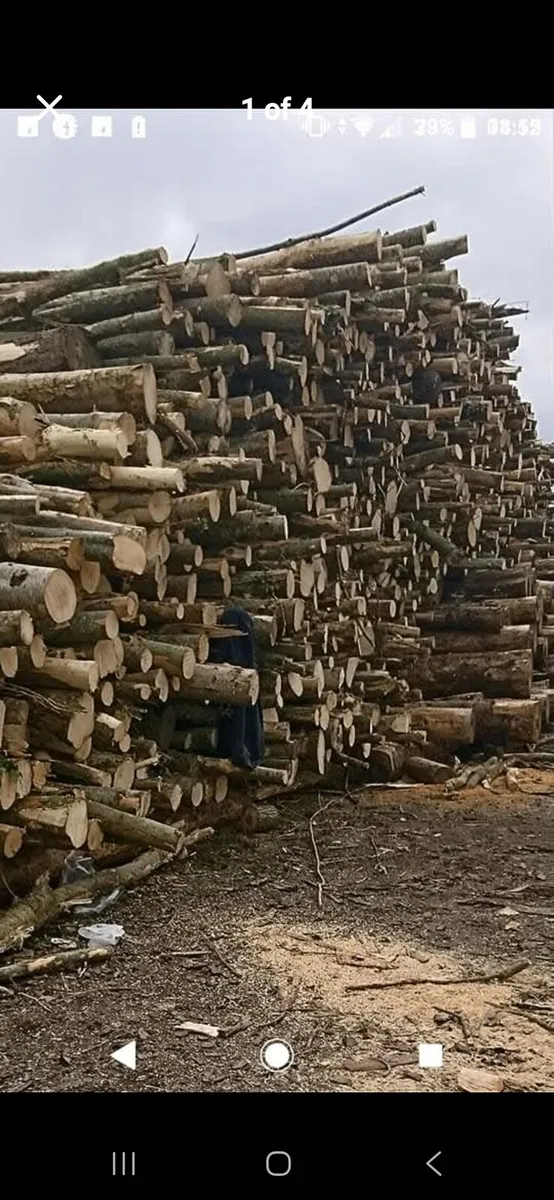 Logs - Image 4