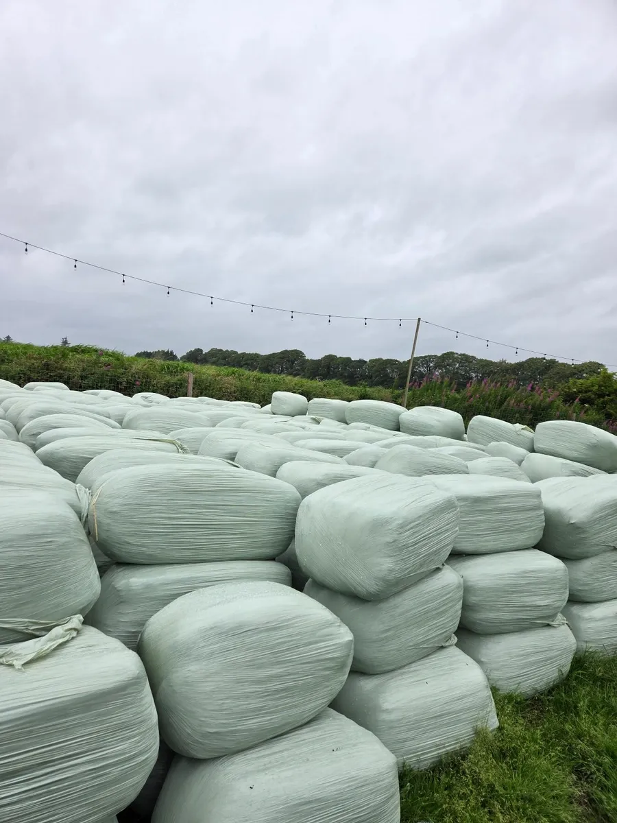 Haylage
