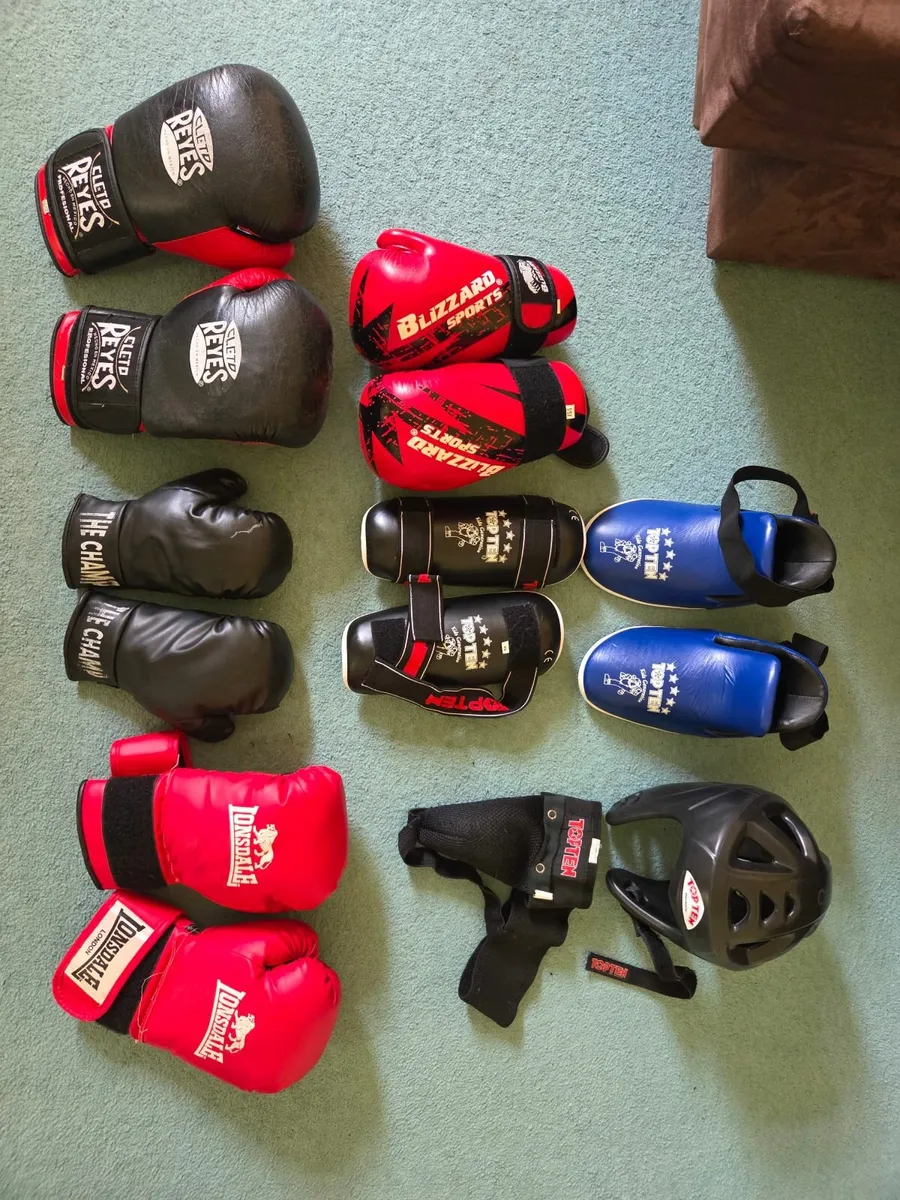Taekwondo sparing gear