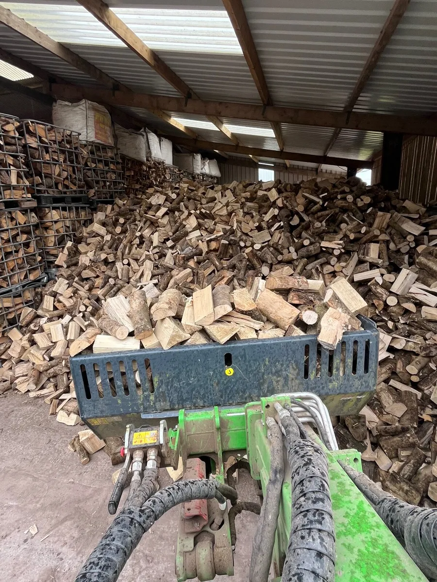 Firewood - Image 4