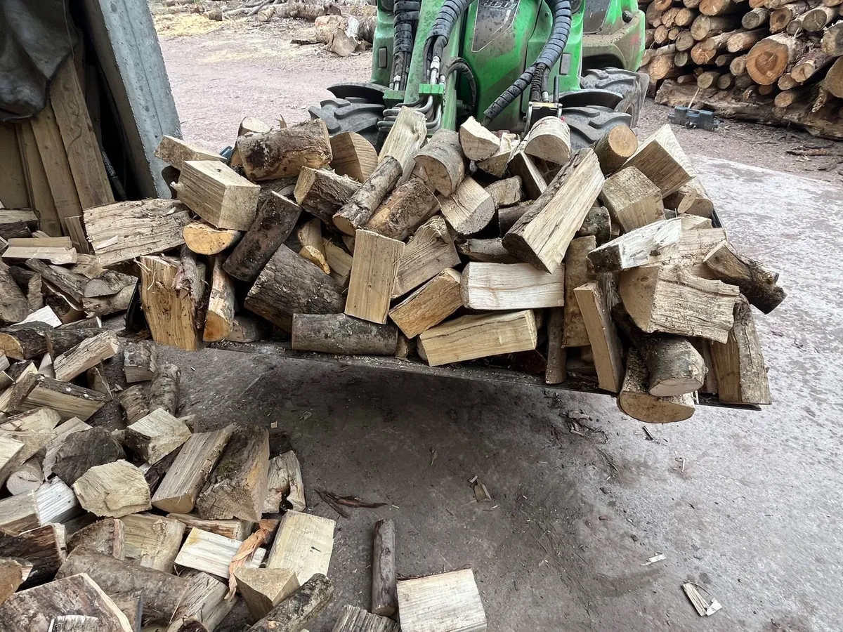 Firewood - Image 1