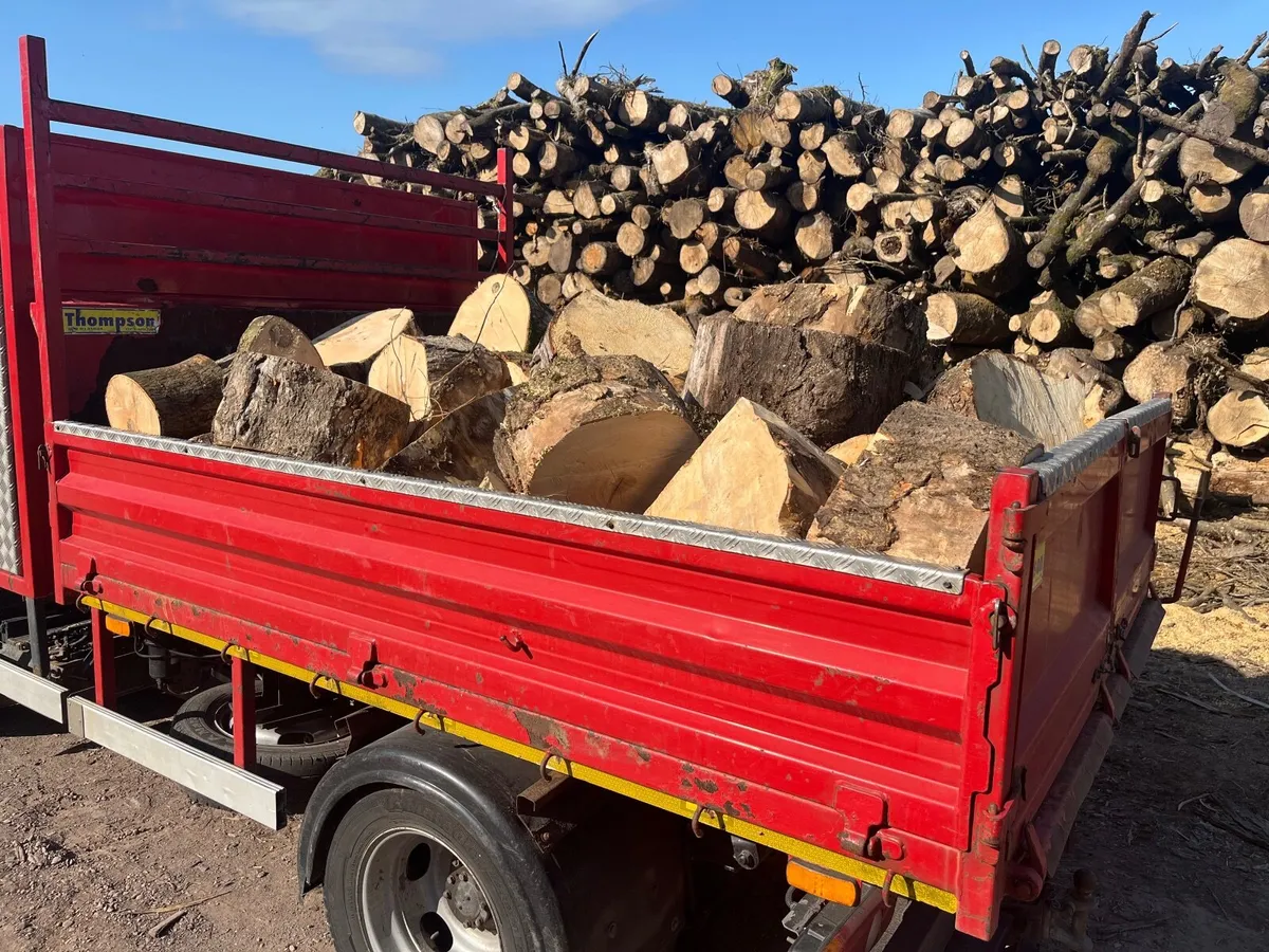 Firewood - Image 3