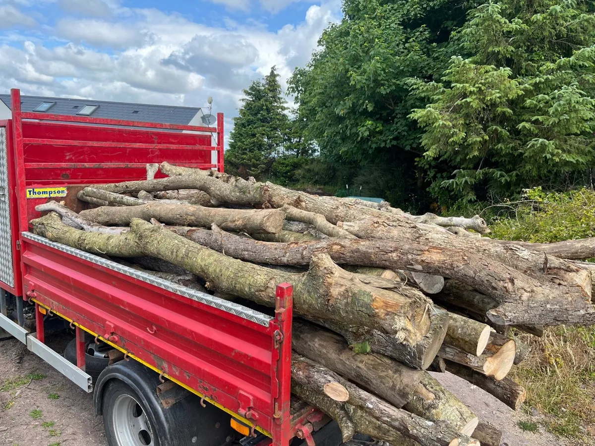 Firewood - Image 4