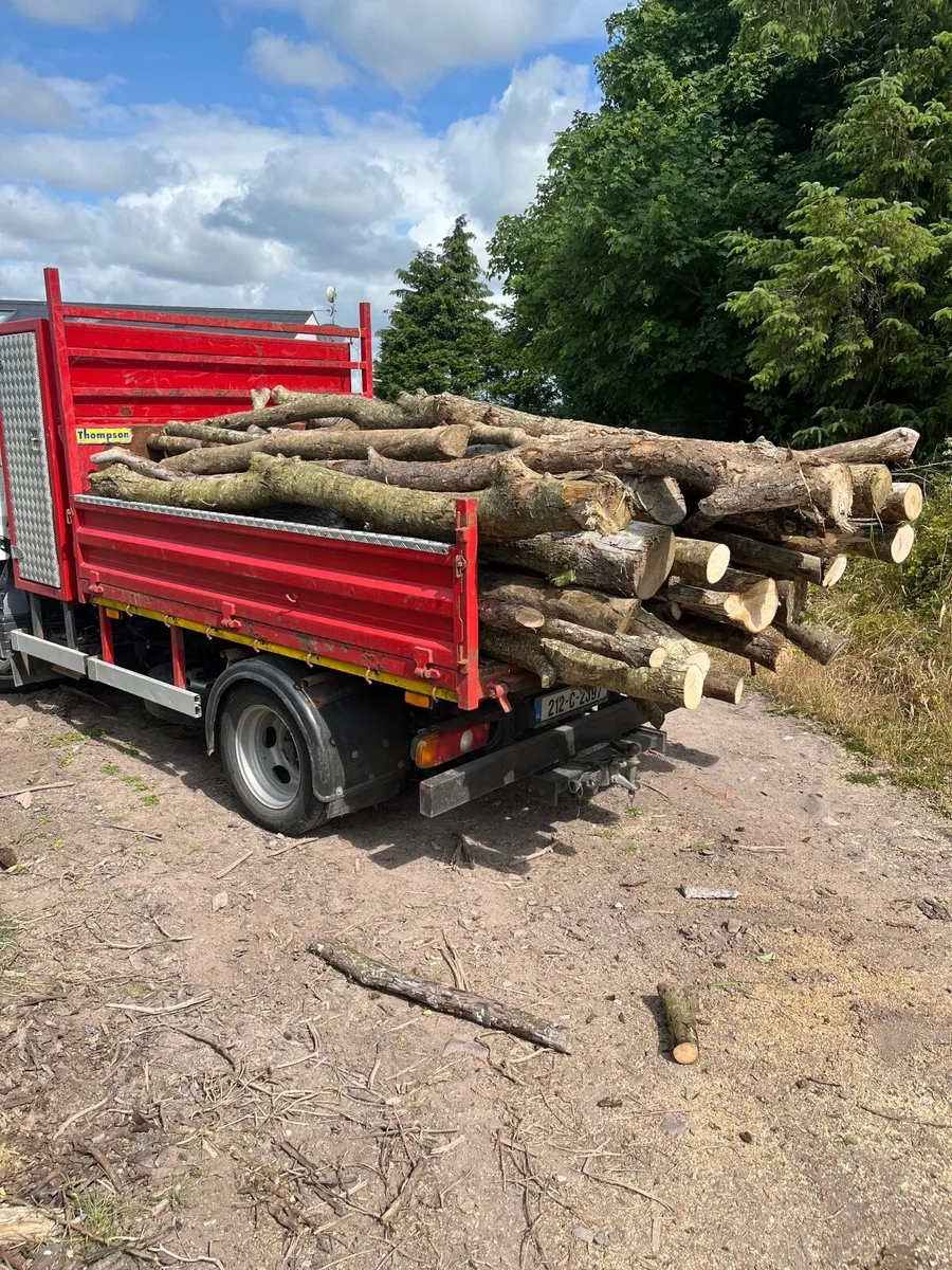 Firewood - Image 1