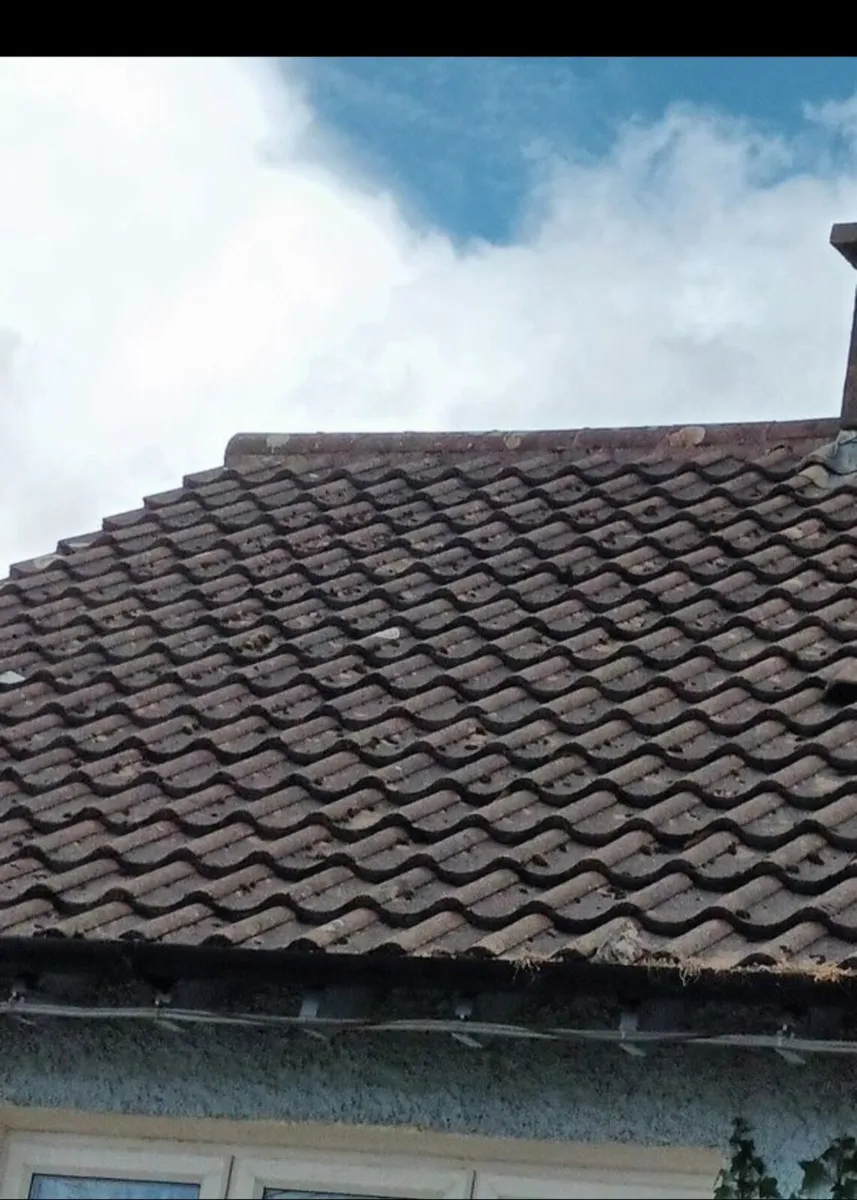 Roof tiles - Image 2