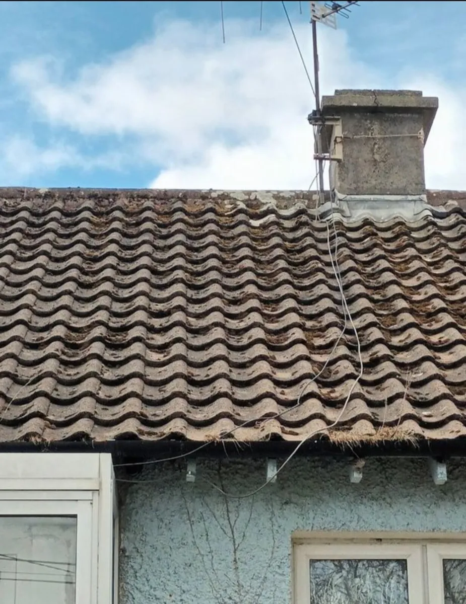 Roof tiles - Image 4