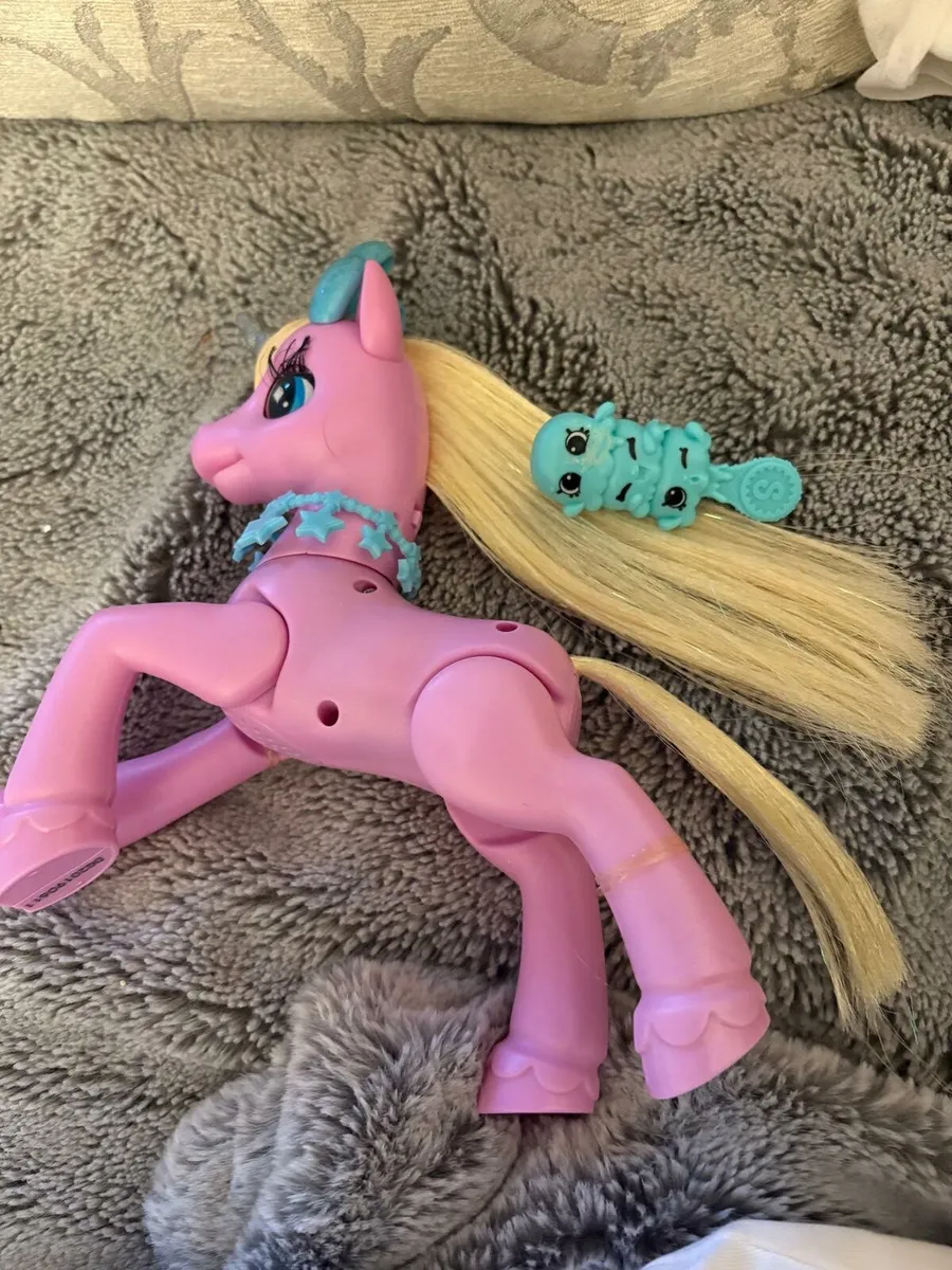 Pink Pony