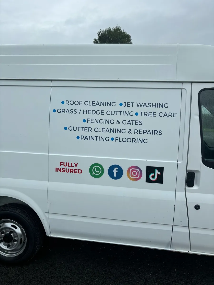 132 Ford transit new Doe - Image 2