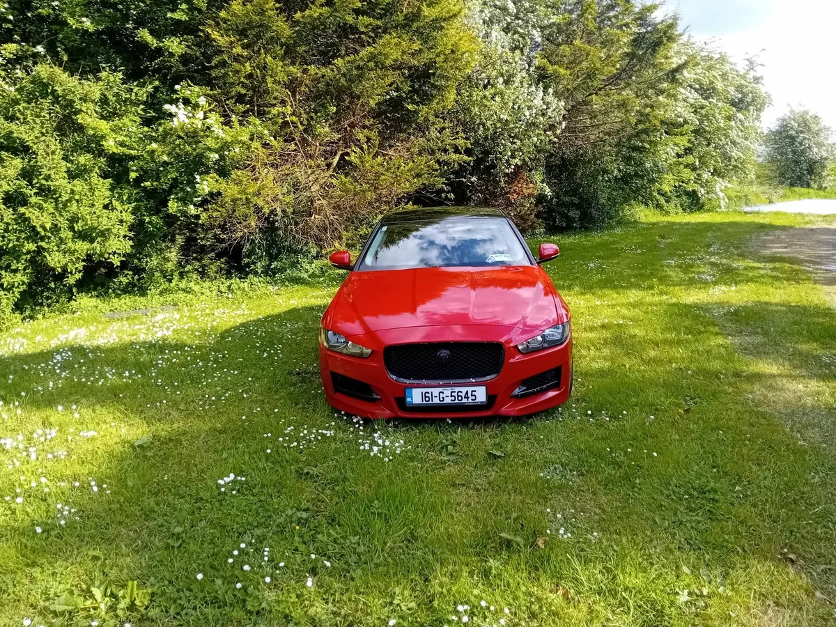 Jaguar XE 2016 - Image 4