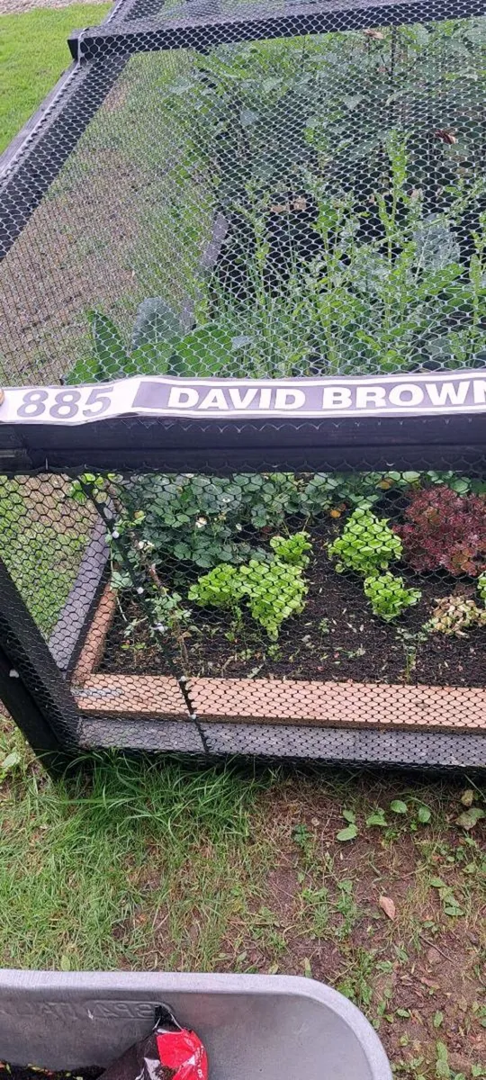 David brown cast iron sign - Image 4
