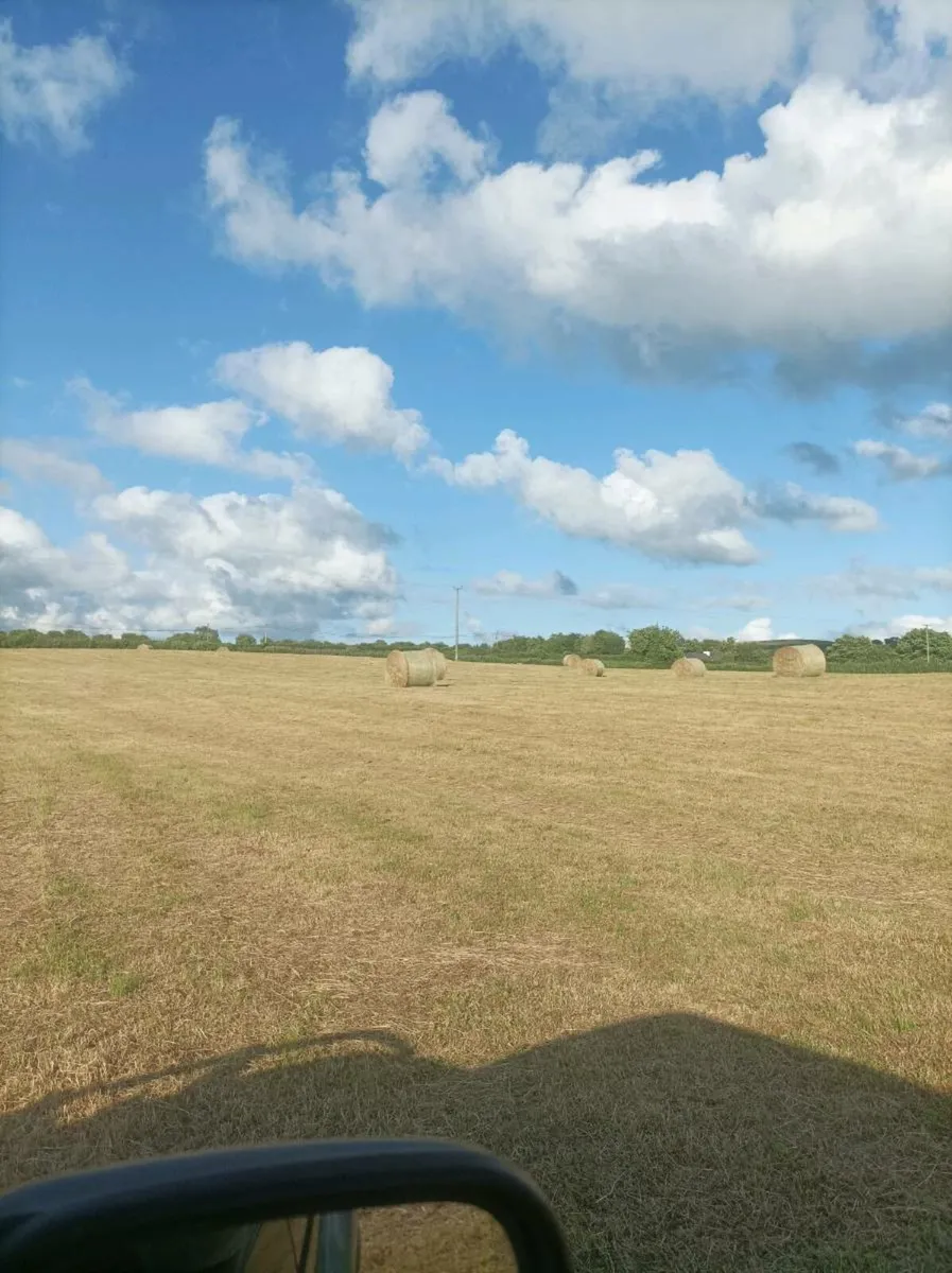 Bales of hay - Image 3