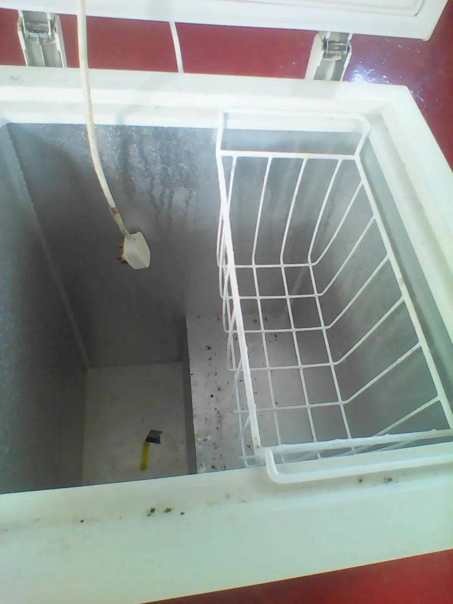 Chest Freezer - Image 3