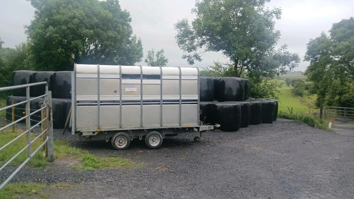Trailer - Image 1