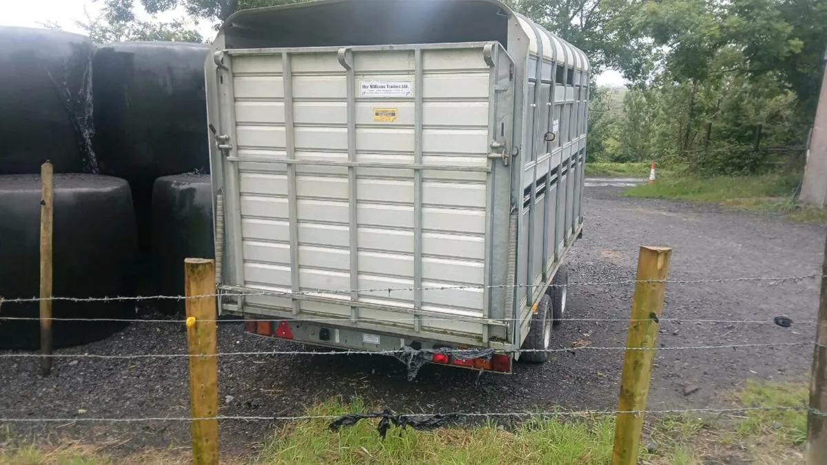 Trailer - Image 3