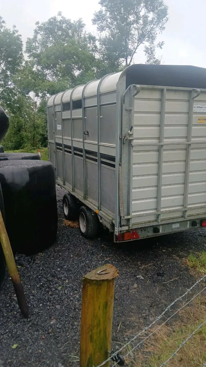Trailer - Image 4