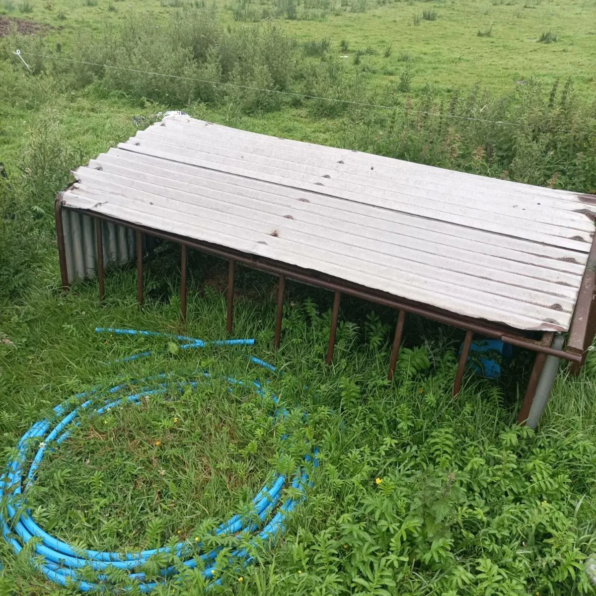 Double sided Lamb creep feeder - Image 1