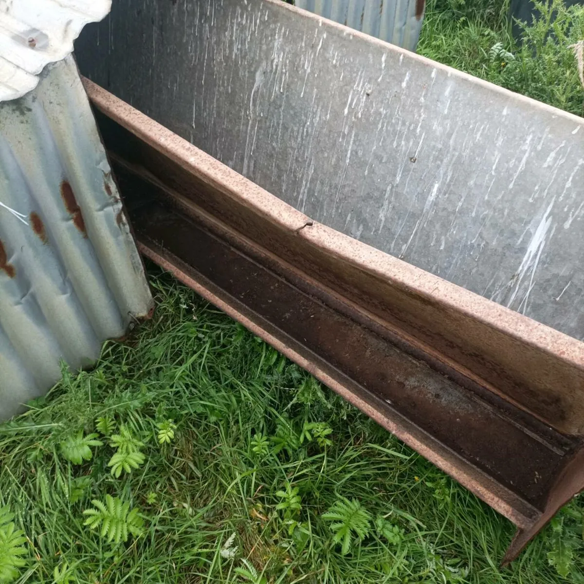 Double sided Lamb creep feeder - Image 4