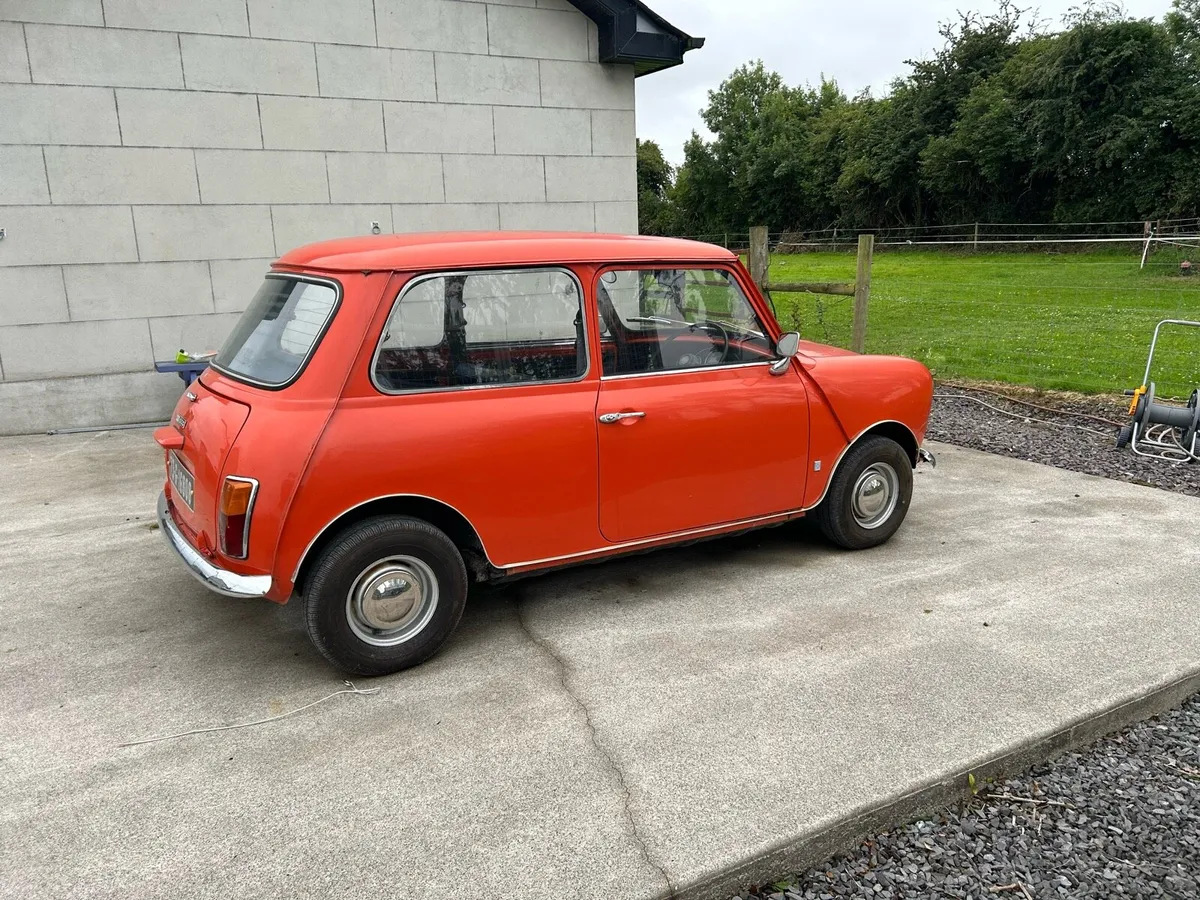 Austin mini 1000 - Image 2