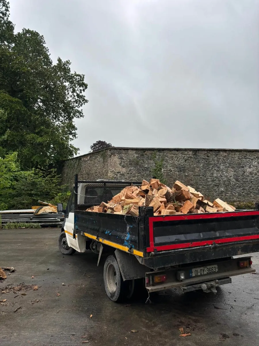 Firewood - Image 4