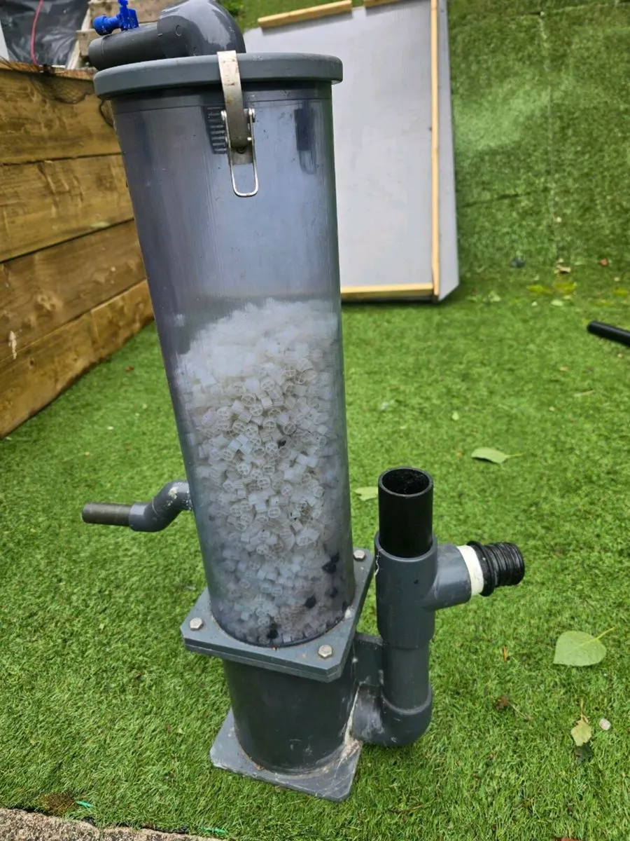 Koi carp fish and pond equipment - Image 2