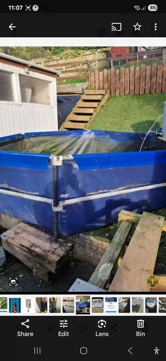 Koi carp fish and pond equipment - Image 3