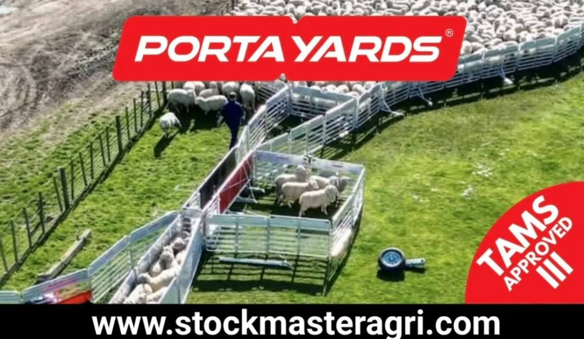 Bring your yard to the Sheep! - Image 1