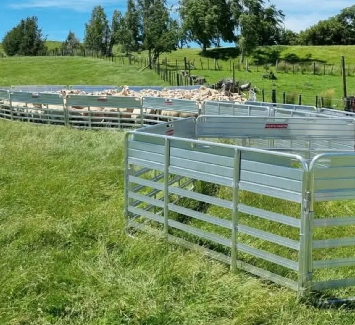 Bring your yard to the Sheep! - Image 2