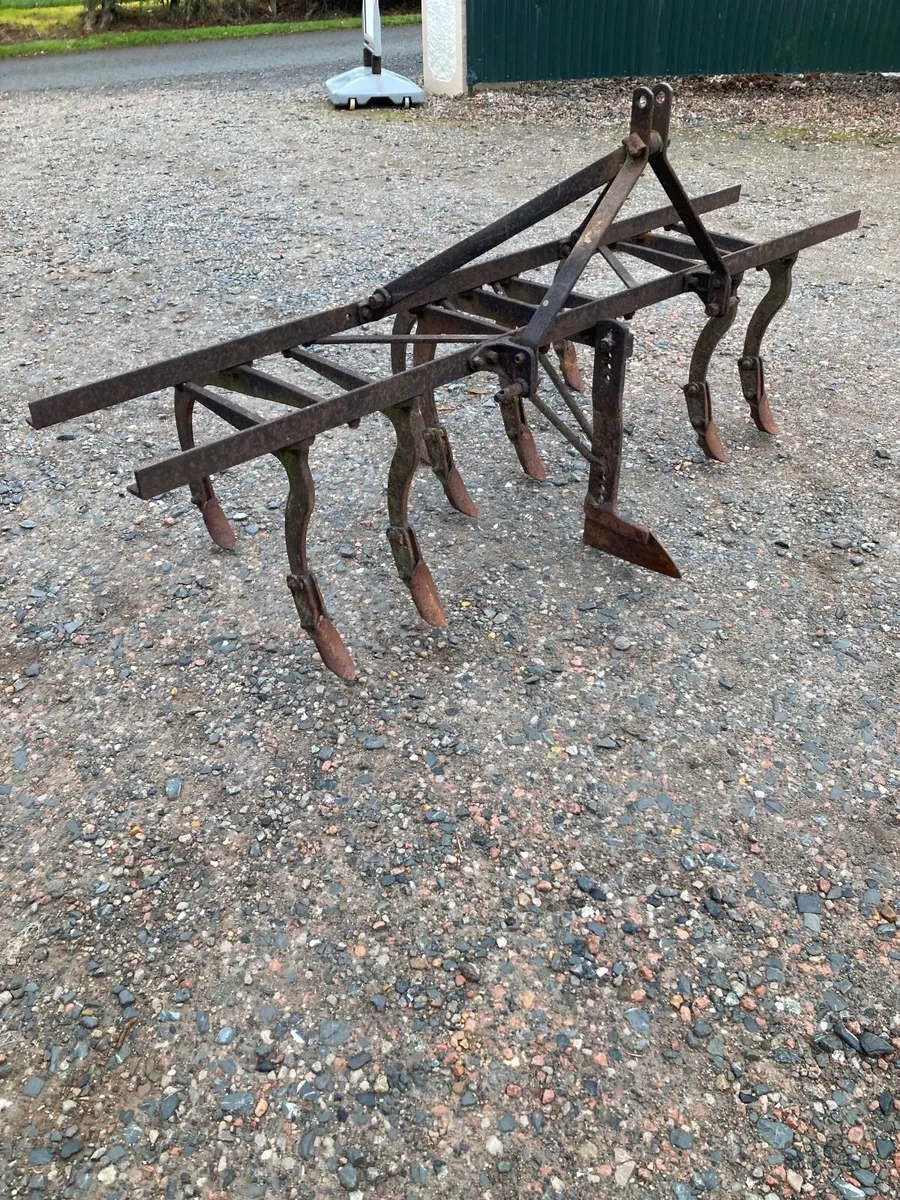 Ferguson grubber - Image 2