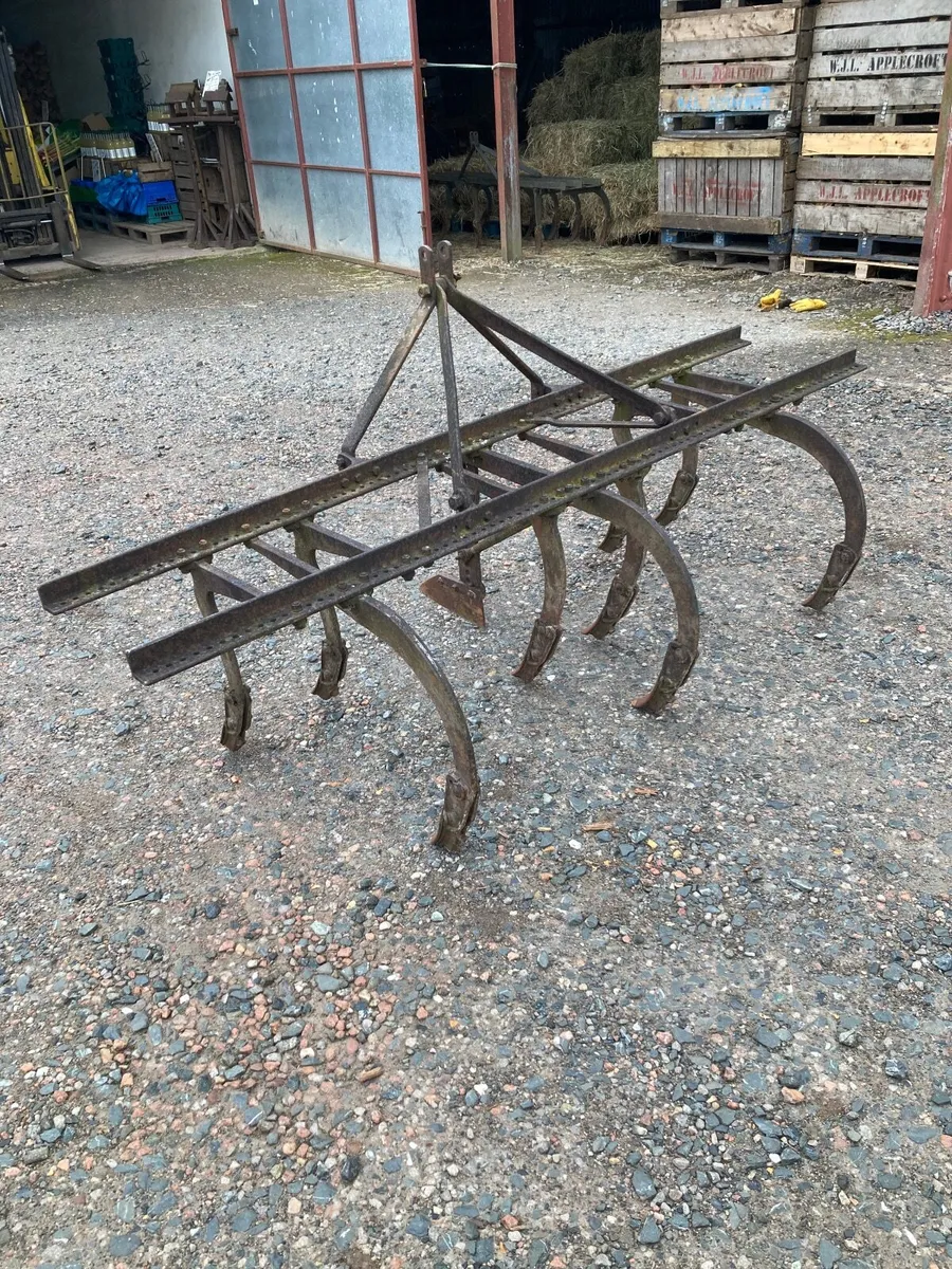 Ferguson grubber - Image 4