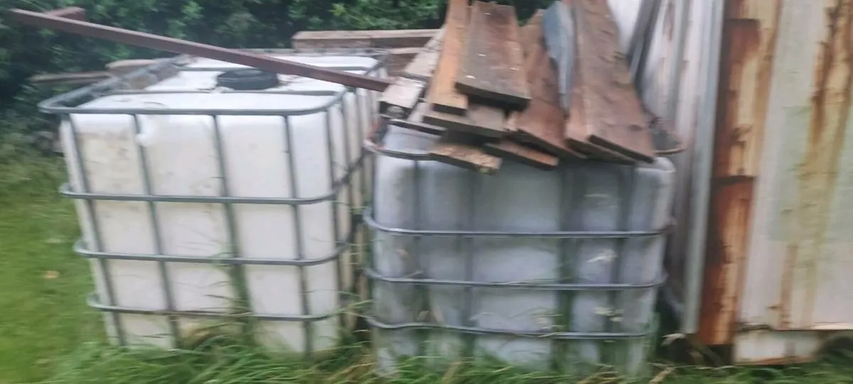 Timber - Image 4