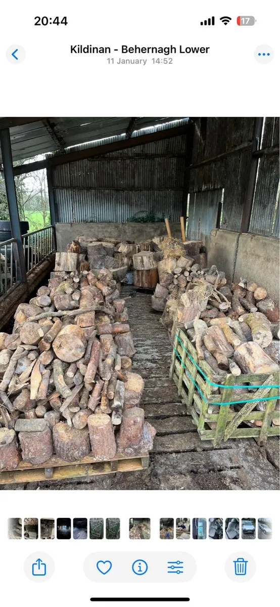 Firewood - Image 1