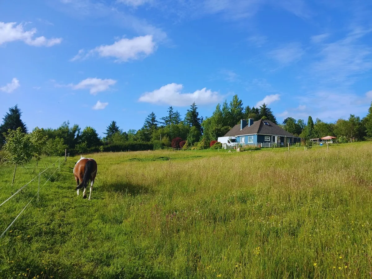 4-Bedroom Bungalow on 15 Acres with Stone Cottage - Image 3
