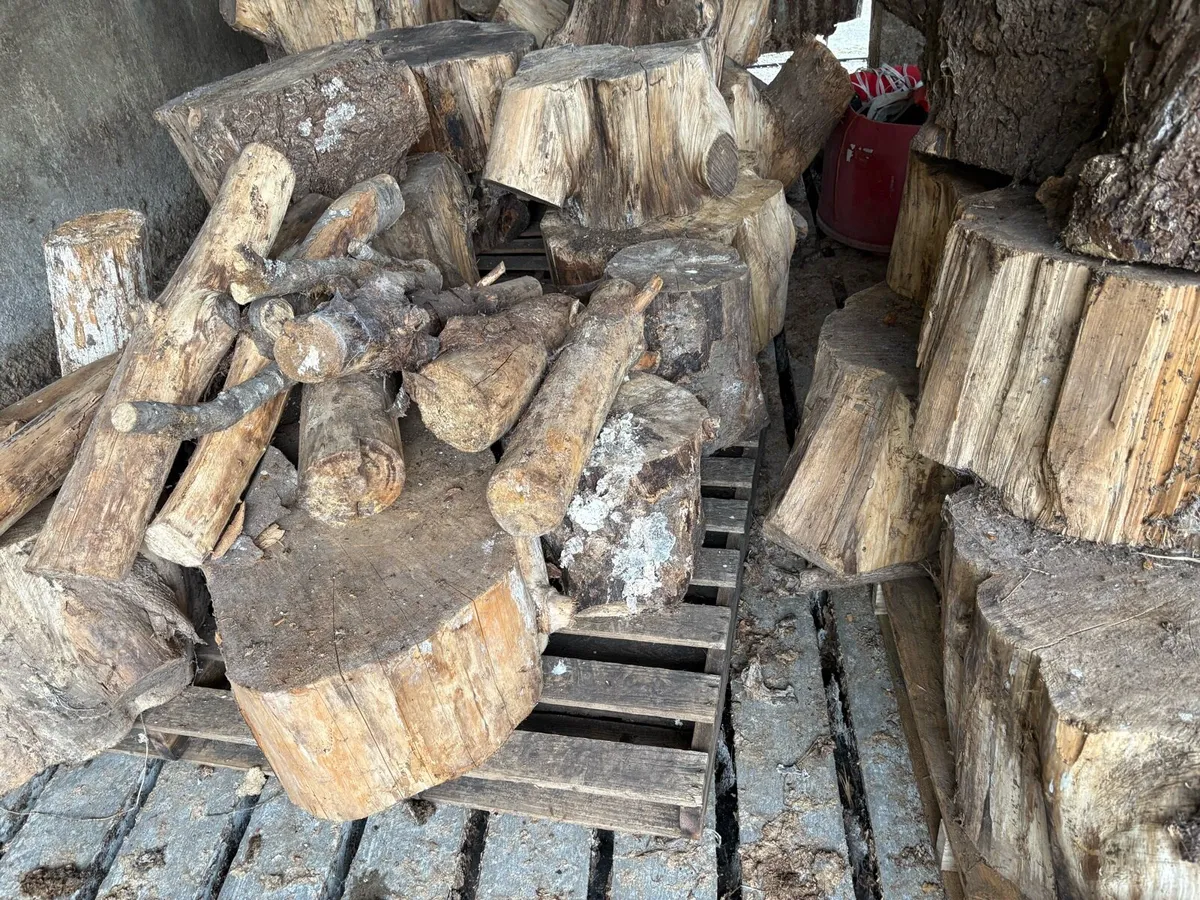 Firewood - Image 2