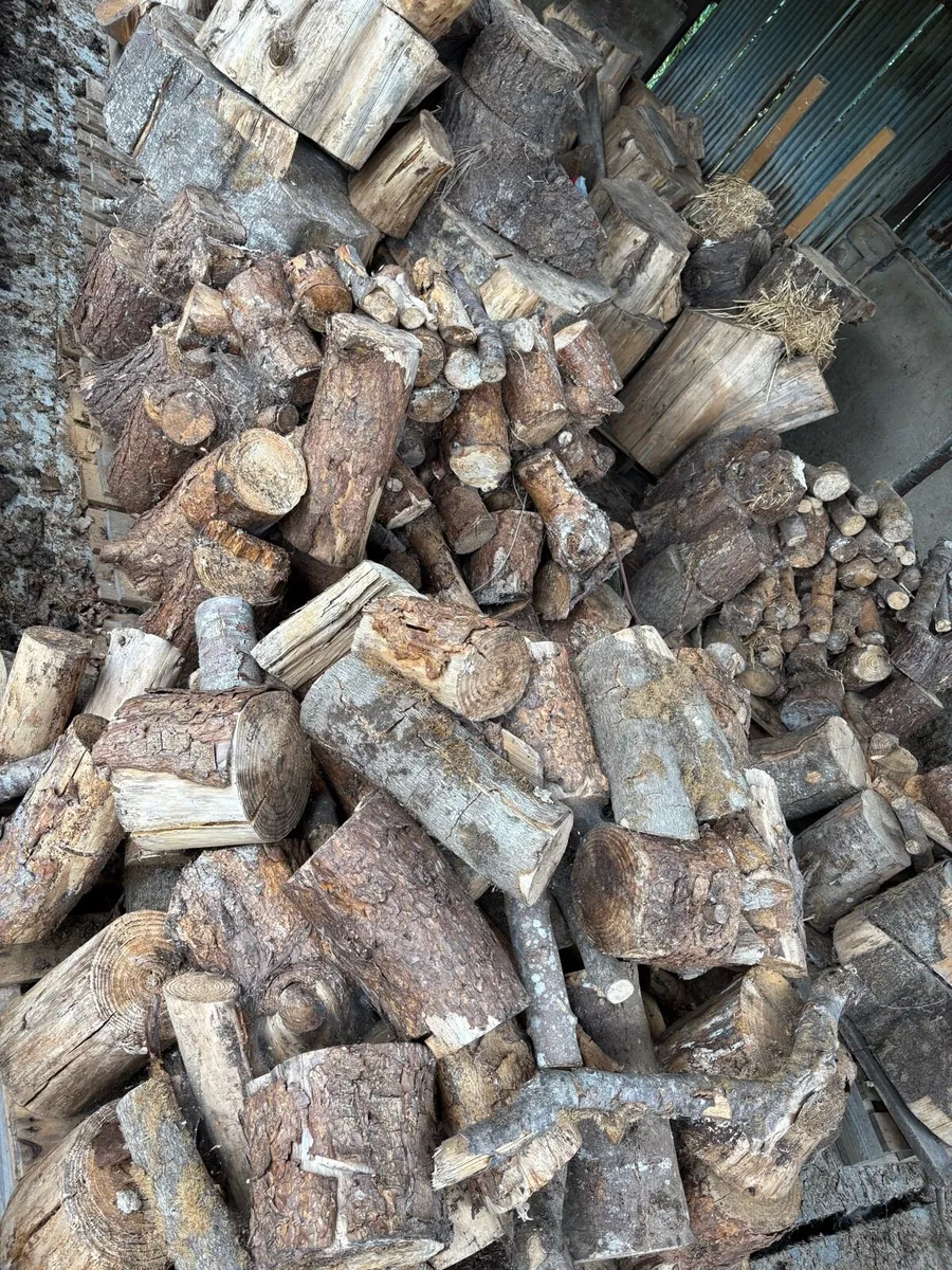 Firewood - Image 3