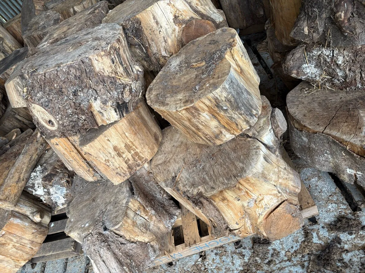Firewood - Image 4