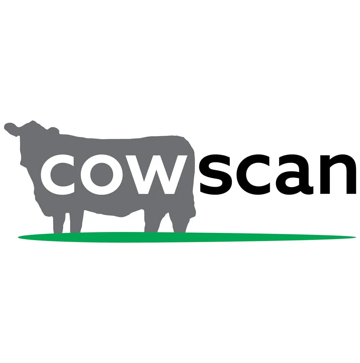 Cattle Scanning Service - Image 1