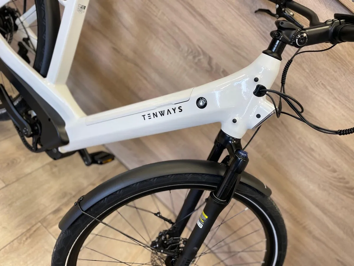 TENWAYS AGO T - Image 2