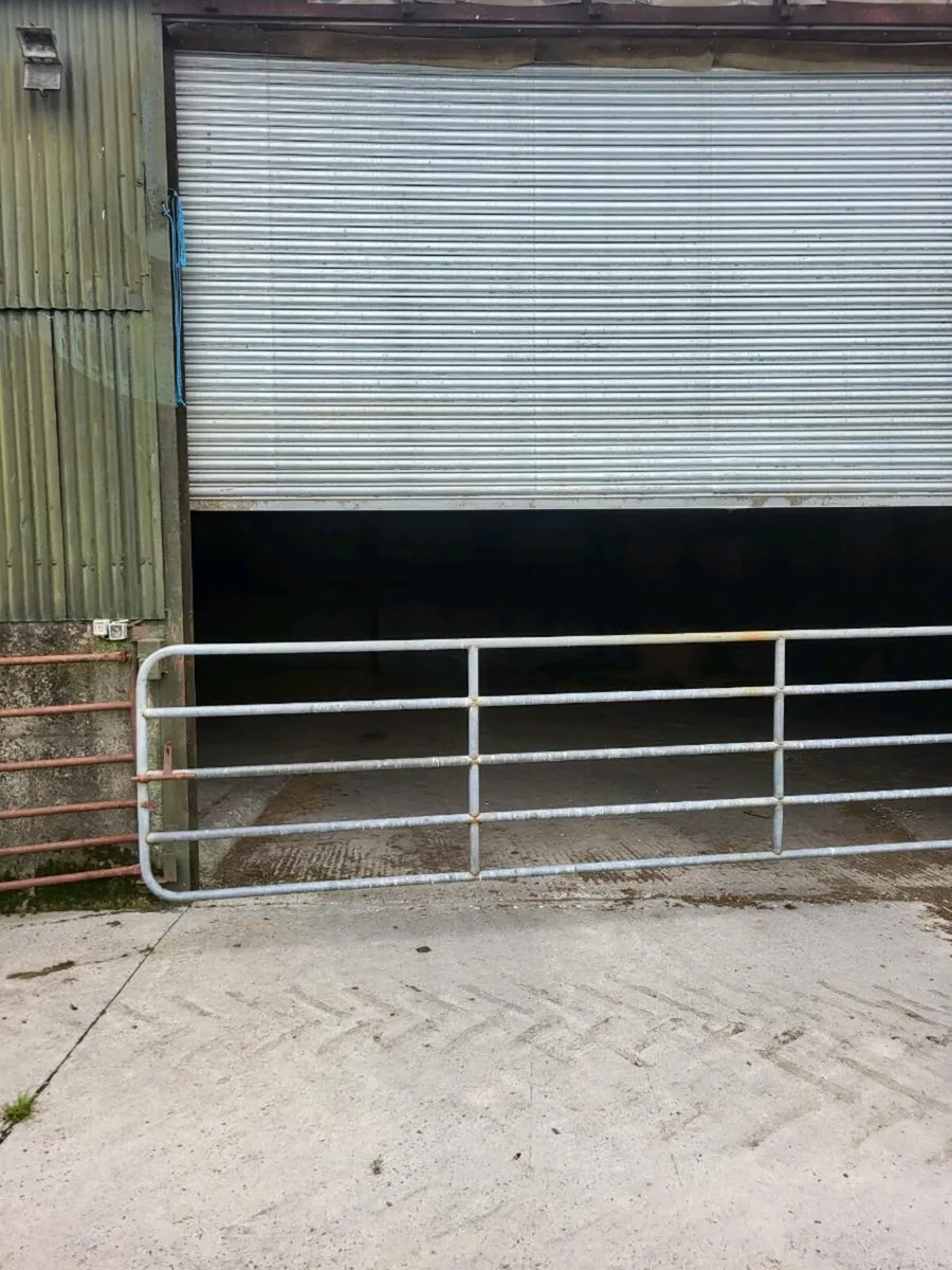 Shed to rent - Image 1