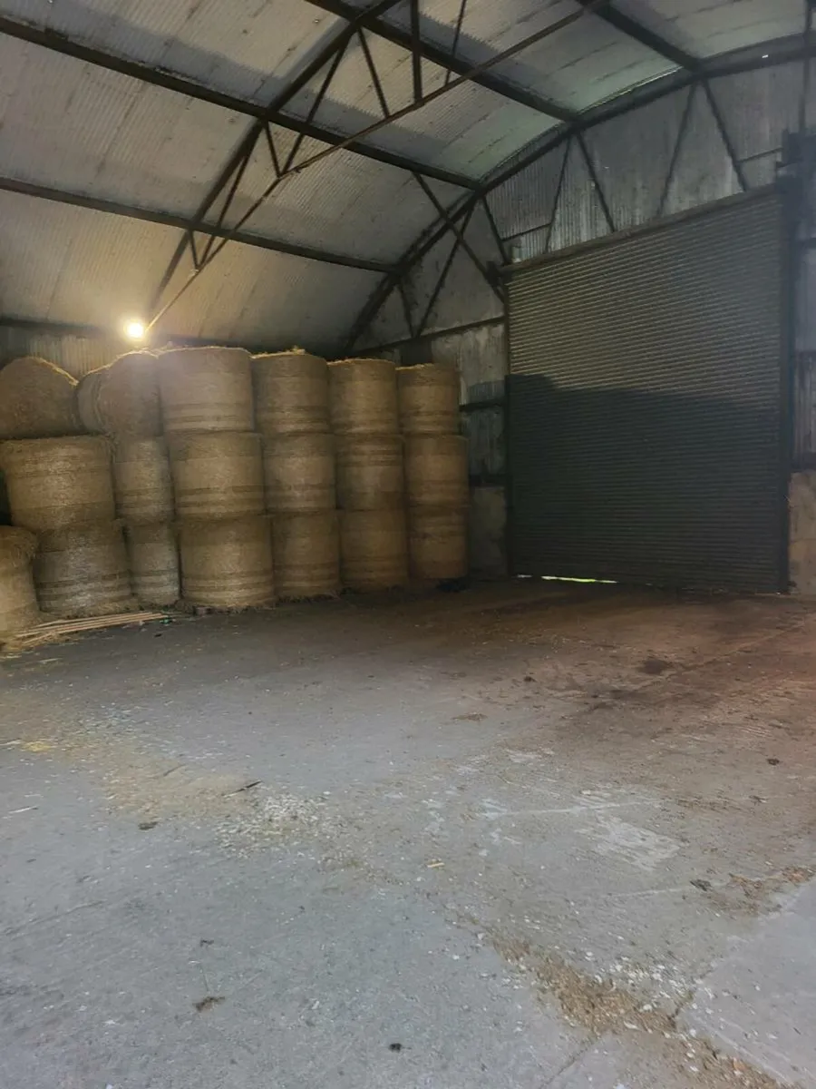 Shed to rent - Image 4