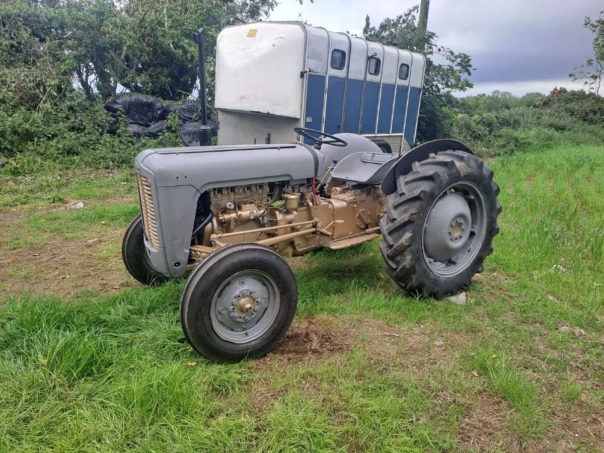 Vintage Tractors - Image 3