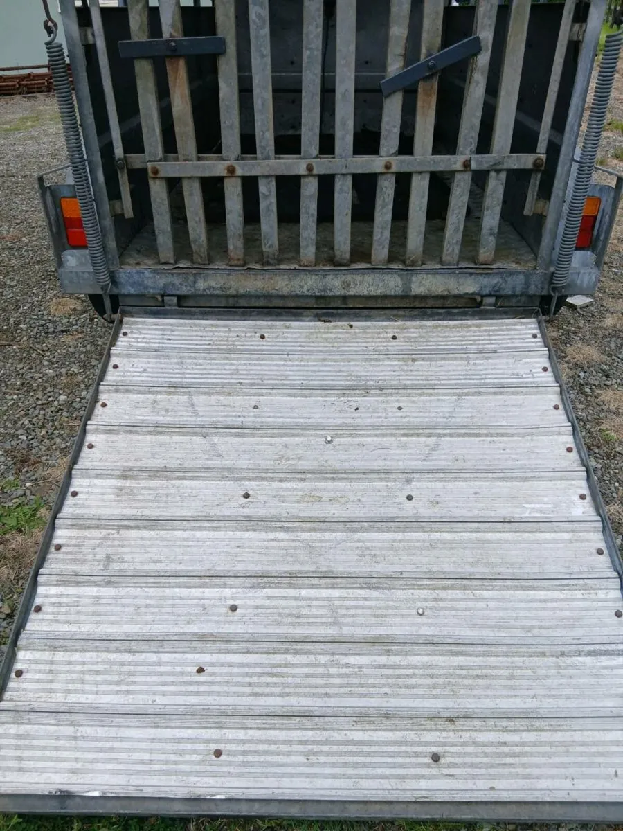 8 x4.6 cattle trailer....brakes on 4 wheels - Image 2