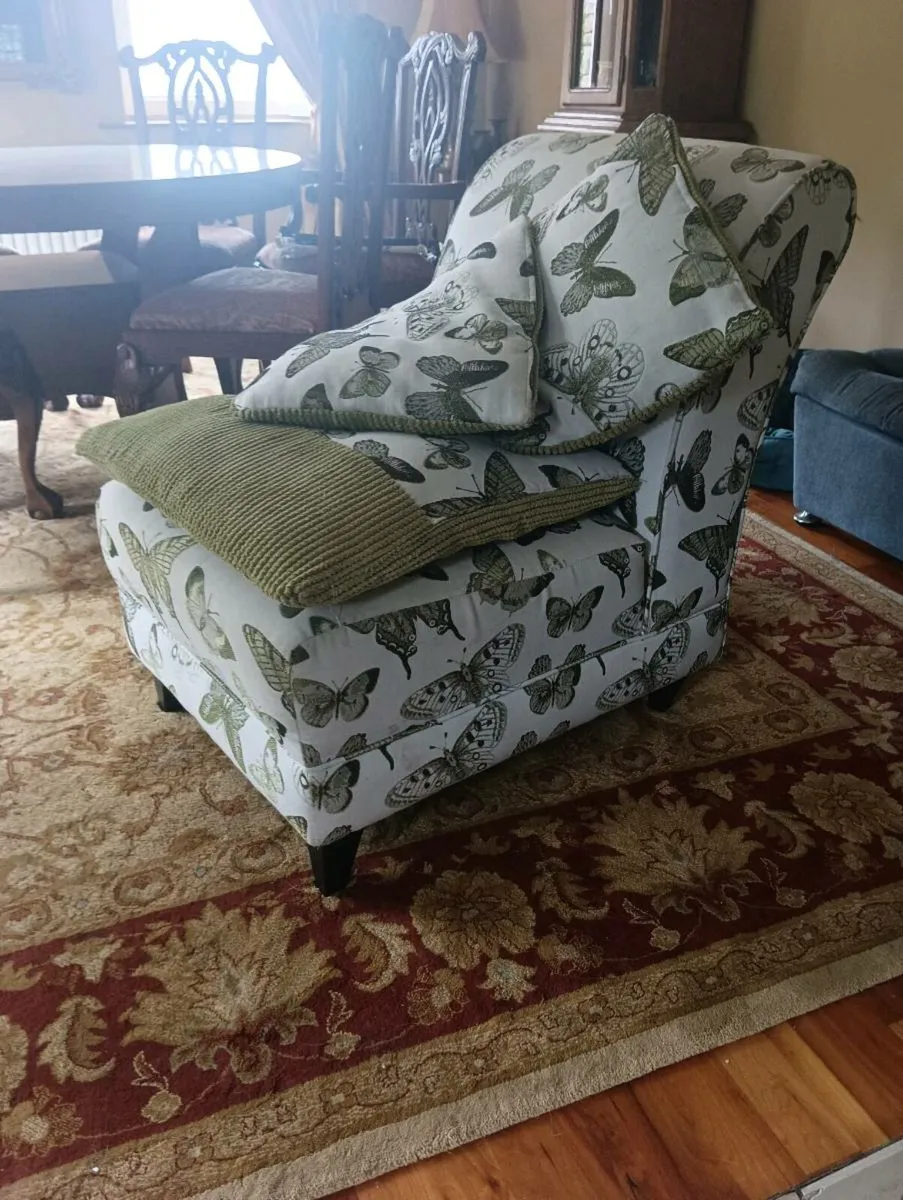 Beautiful butterfly chair and cushion s to match - Image 1