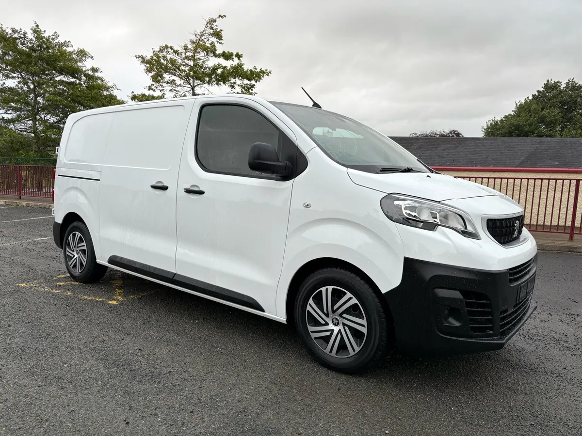 2019 (191) PEUGEOT EXPERT 1.6 PROFESSIONAL - Image 1