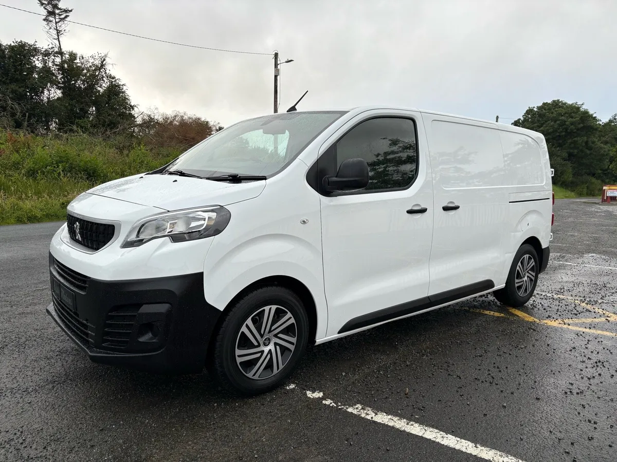 2019 (191) PEUGEOT EXPERT 1.6 PROFESSIONAL - Image 4