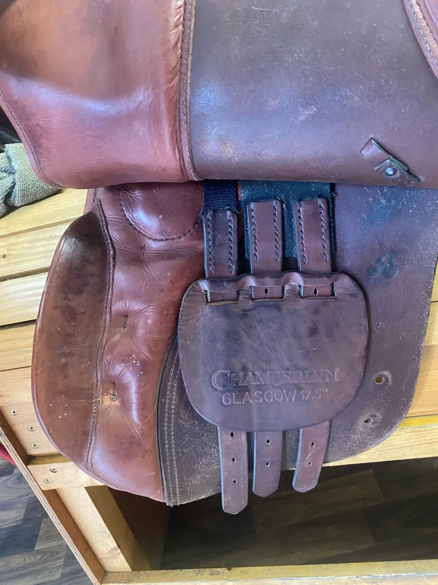 17.5 chamberlain tan Leather saddle - Image 2