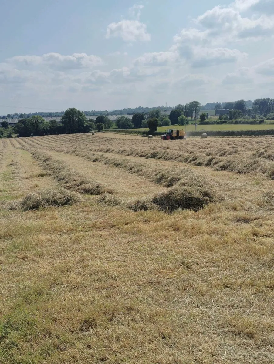 Hay bales - Image 1