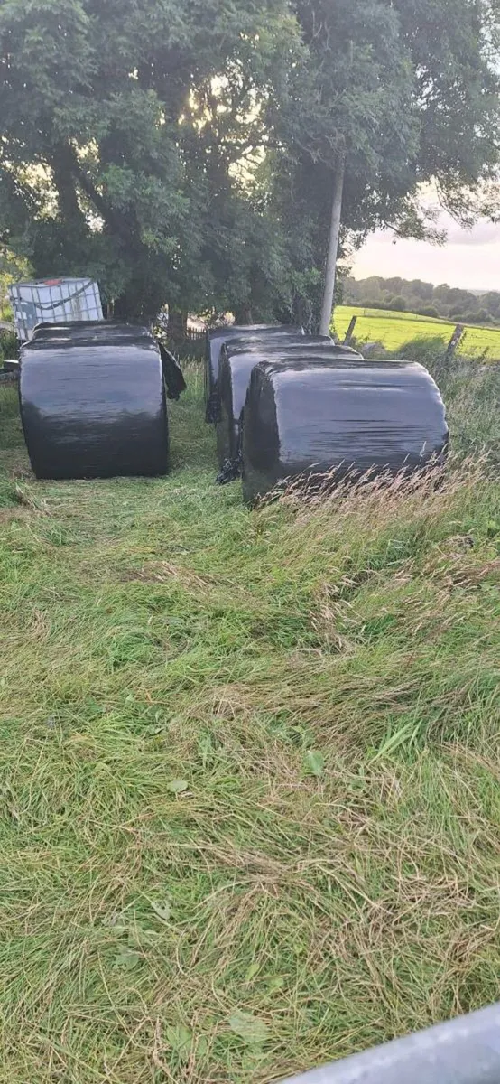 Silage bales - Image 1