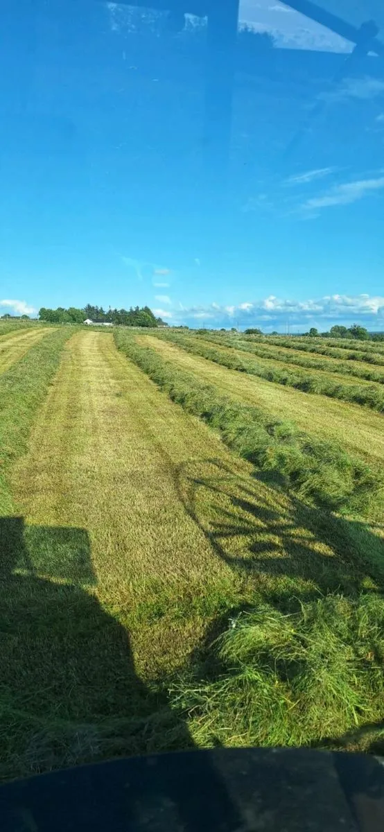 Silage bales - Image 2