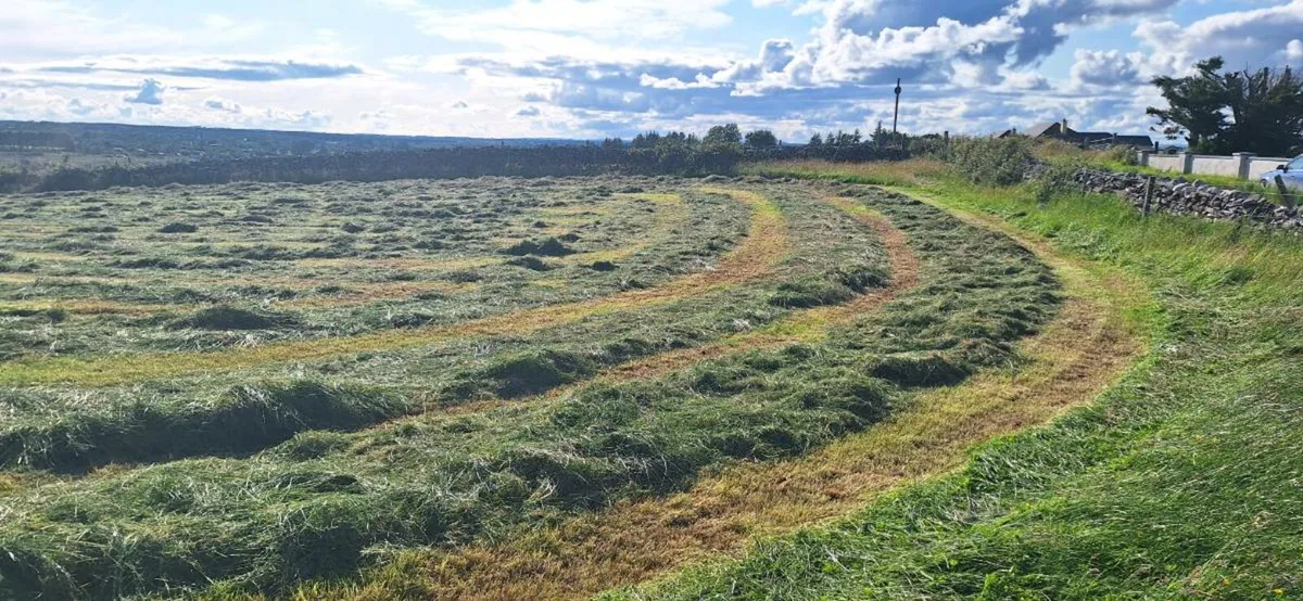 Silage bales - Image 3